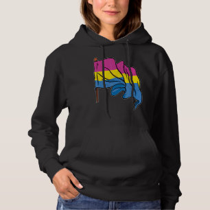 Lgbt Pansexuality Flag Pan Pride Human Rights Pans Hoodie