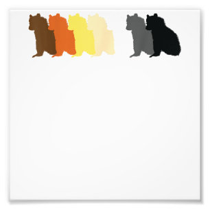 LGBT Papa Mens Gay Pride Month - Sitting Gay Bear  Photo Print