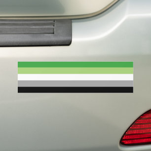 LGBTQ Aromantic Pride Flag Bumper Sticker