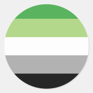 LGBTQ Aromantic Pride Flag Classic Round Sticker