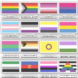 LGBTQ Flags Of The Pride Movement LGBT