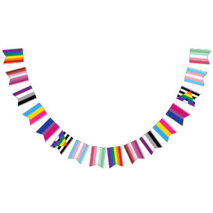LGBTQ Gay Lesbian Ace Pan Bi Ally Trans Abro Pride Bunting Flags