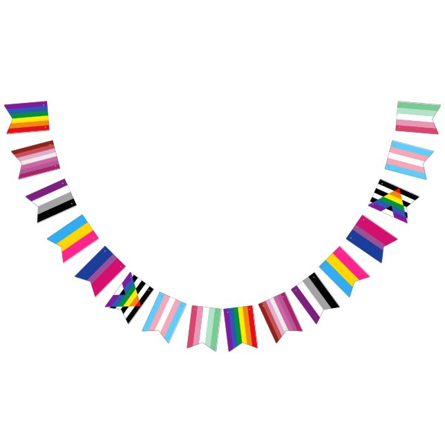 LGBTQ Gay Lesbian Ace Pan Bi Ally Trans Abro Pride Bunting Flags (All)