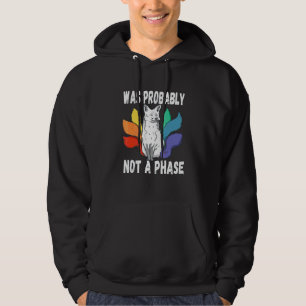 Lgbtq Gay Pride Rainbow Was Probably Not A Phase S Hoodie