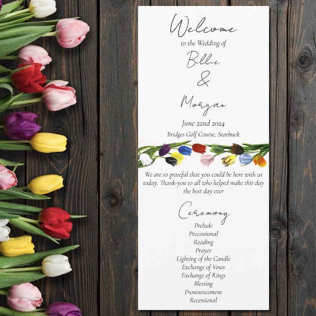 LGBTQ plus Tulips Flowers Program (Creator Uploaded)