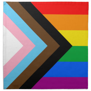LGBTQ+ Progress Pride Napkin