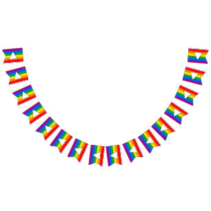 LGBTQ+ Triangle and Rainbow Pride Bunting Flags
