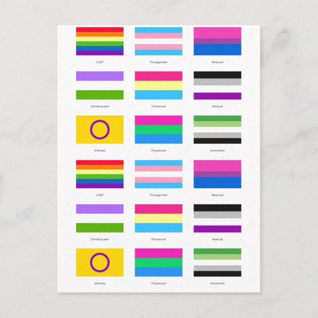 LGBTQIA Pride 9 x FLAGS  Rainbow Awareness Chic Announcement Postcard (Front)