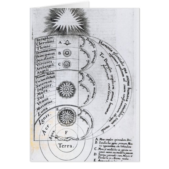 L'harmonie essentielle (Devant)