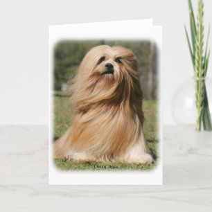 Lhasa Apso 9Y394D-104 Card