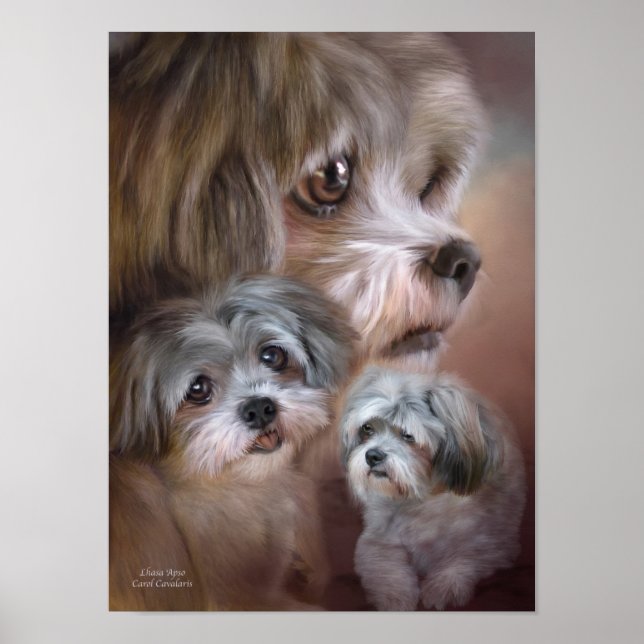 Lhasa Apso Art Poster/Print Poster (Front)