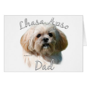 Lhasa Apso Dad 2