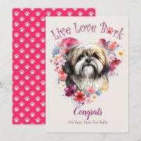 Lhasa Apso Dog Adoption, Gotcha Day