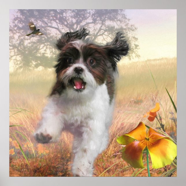 Lhasa Apso Dog HIGH TAIL HOME Poster (Front)