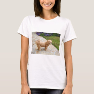 Lhasa Apso dog in a garden T-Shirt