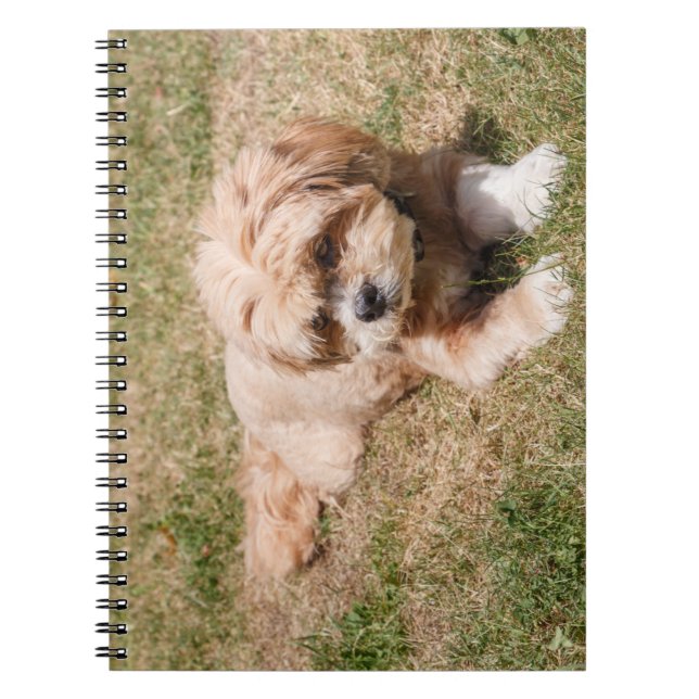Lhasa Apso dog Notebook (Front)
