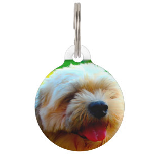 Lhasa Apso Dog. Pet Tag