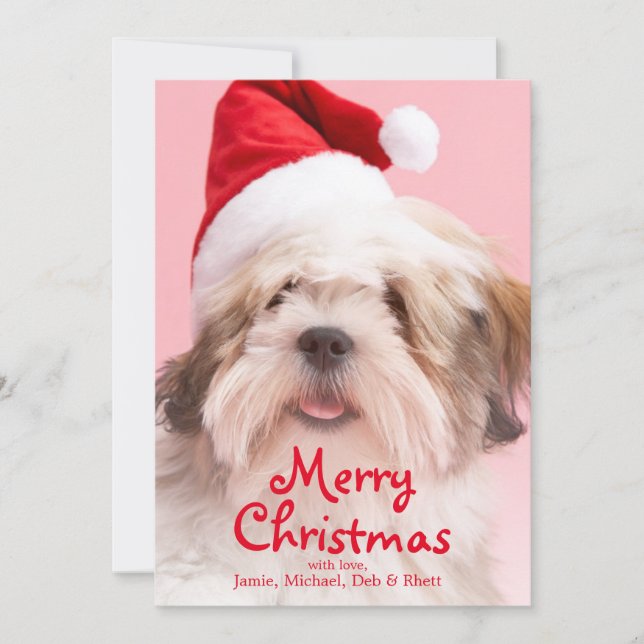 Lhasa Apso Dog Wearing Santa Hat Holiday Card (Front)