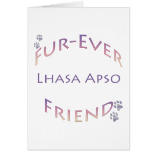 Lhasa Apso Furever