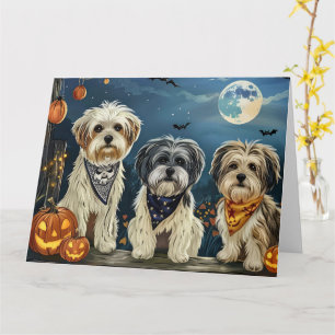 Lhasa Apso Halloween Spooky  Card