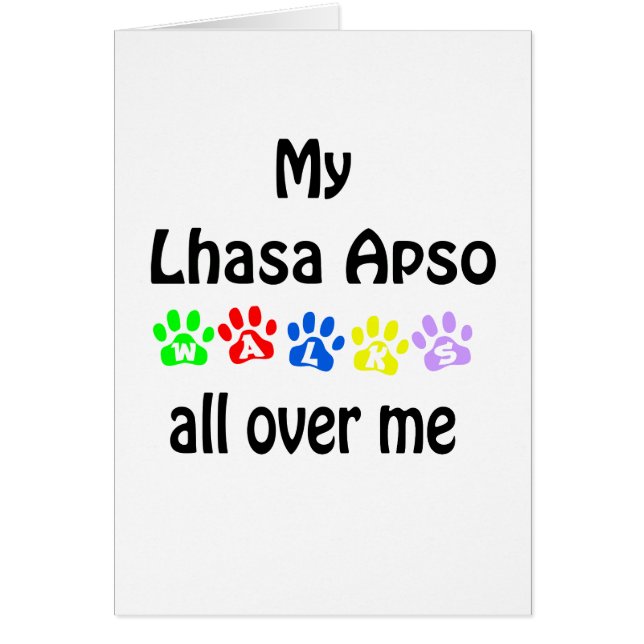 Lhasa Apso Marche Design (Devant)