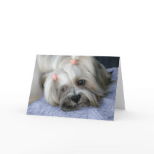 Lhasa Apso Missing You Card
