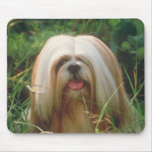 Lhasa Apso Mouse Pad