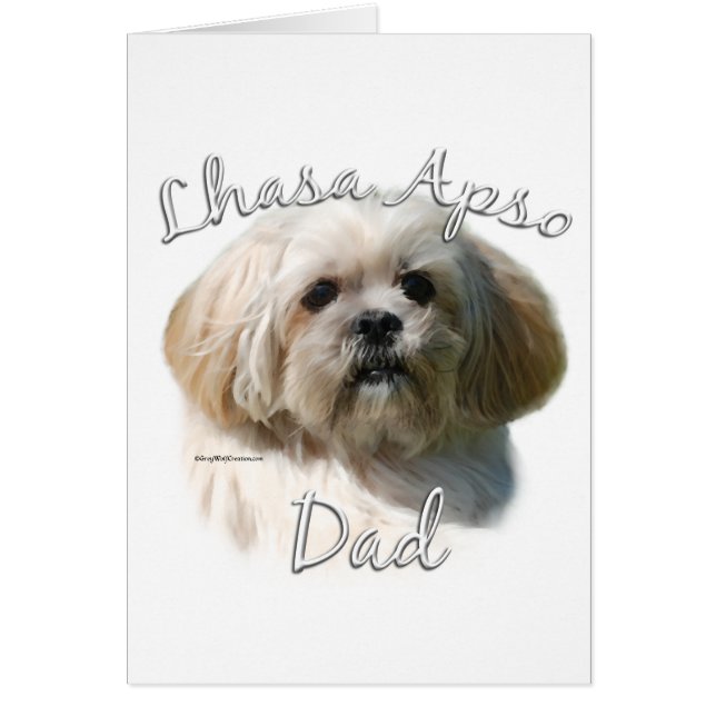 Lhasa Apso Papa 2 (Devant)