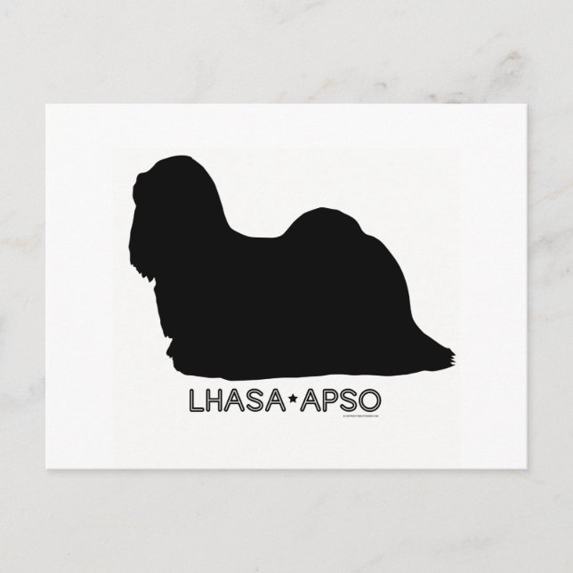 Lhasa Apso Postcard (Front)