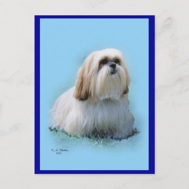 Lhasa Apso Postcard (Front)