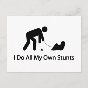 Lhasa Apso Postcard