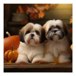 Lhasa Apso Puppy Autumn Delight Pumpkin  Poster