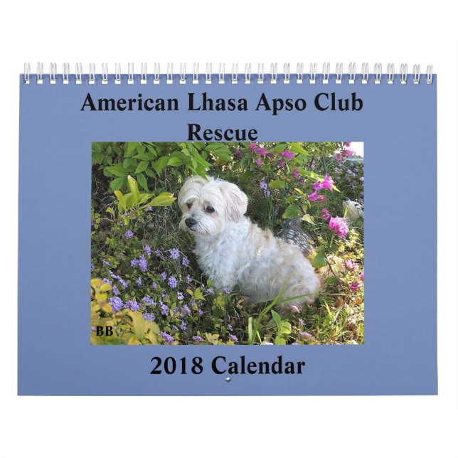 Lhasa Apso Rescue 2018 Calendar (Cover)