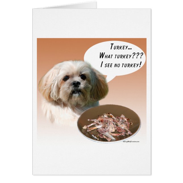 Lhasa Apso Turkey (Front)