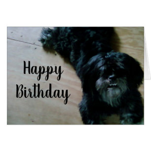 LHASA APSO WISHES FOR A HAPPY BIRTHDAY