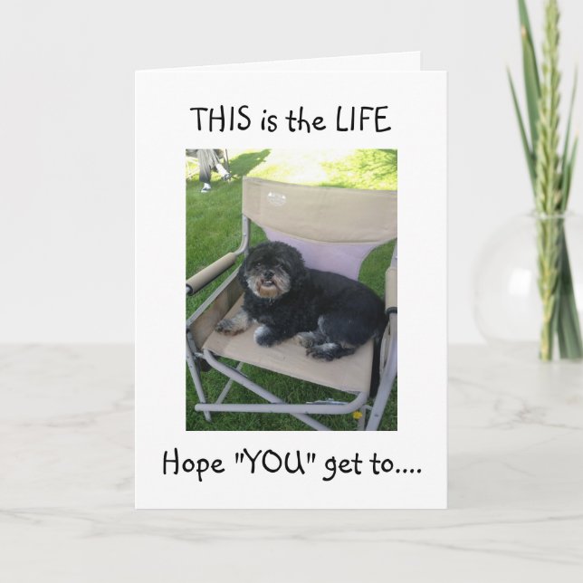 LHASA WANTS YOU TO ENJOY YOUR "40th!" Card (Front)