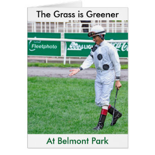 L'herbe est plus verte