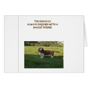 L'HERBE EST PLUS VERTE AVEC BASSET HOUND