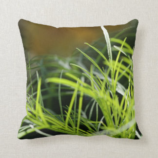 L'herbe est toujours plus verte… Coussin