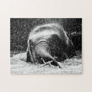 L'heure de la baignade des éléphants, le puzzle 
