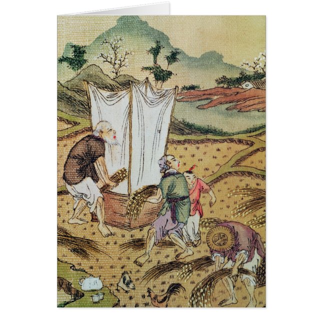 L'histoire du riz (Devant)