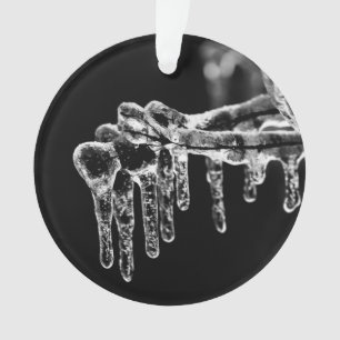 l'hiver