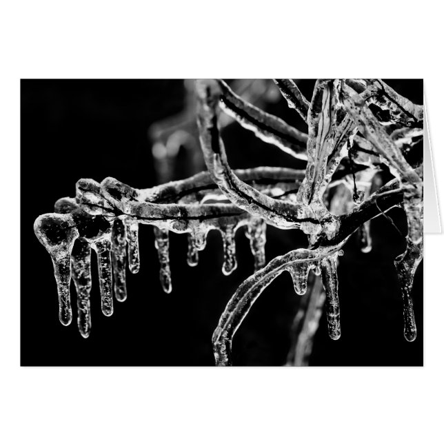 l'hiver (Devant horizontal)