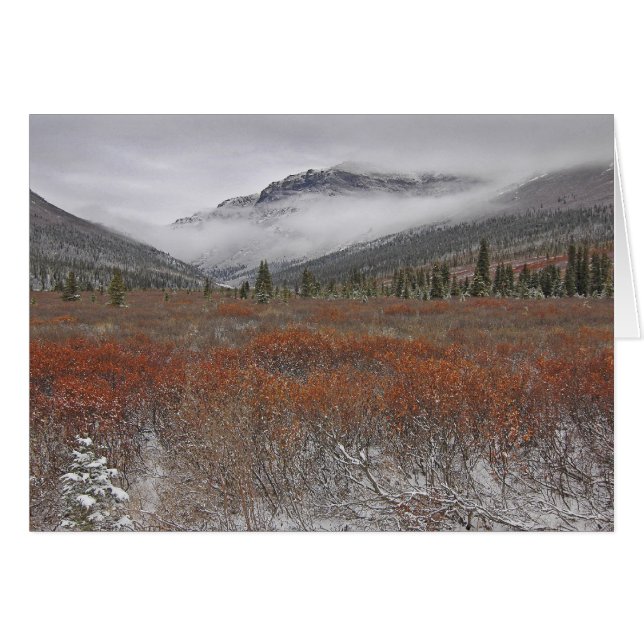 L'hiver à venir (Devant horizontal)