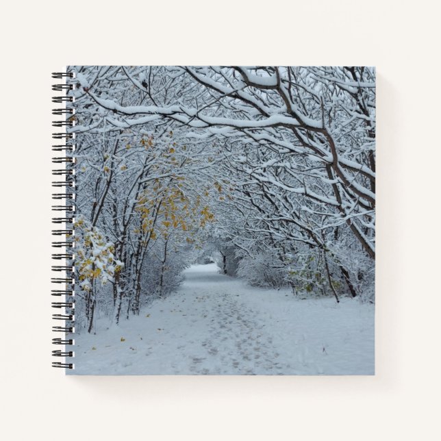 L'hiver au Canada Carnet (Devant)