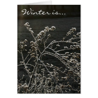 L'hiver est