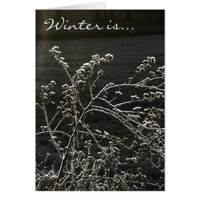 L'hiver est (Devant)