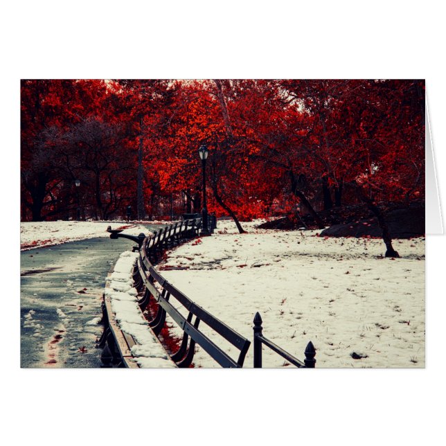 L'hiver rencontre l'automne dans le Central Park, (Devant horizontal)