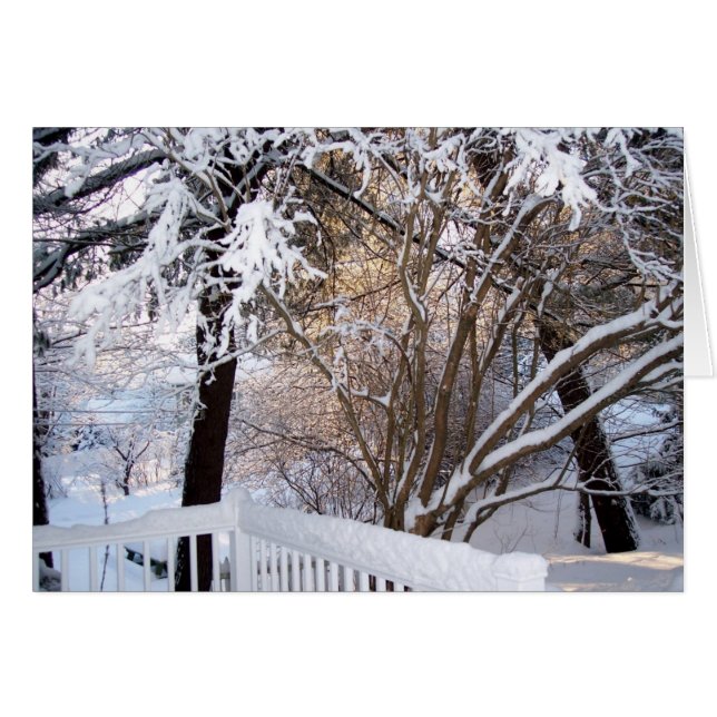 L'hiver sur le front (Devant horizontal)