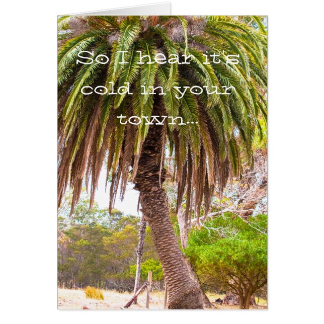 L'hiver taquinent (Devant)